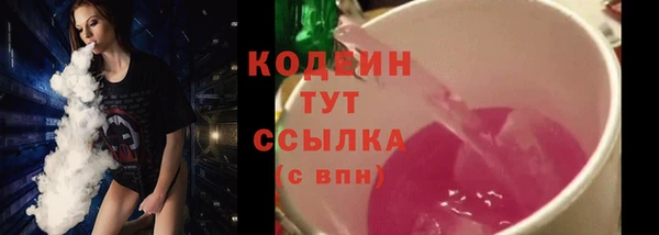 гашик Дмитровск