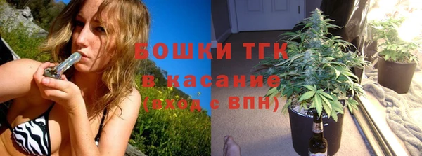 гашик Дмитровск