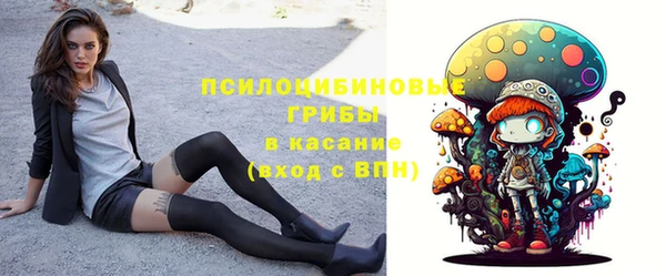гашик Дмитровск
