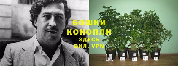 мяу мяу кристалл Дмитриев